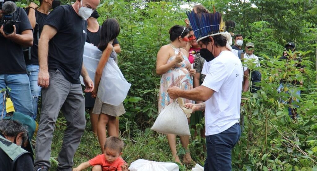 Comunidade indígena Beija Flor recebe sementes de árvore do governo do AM