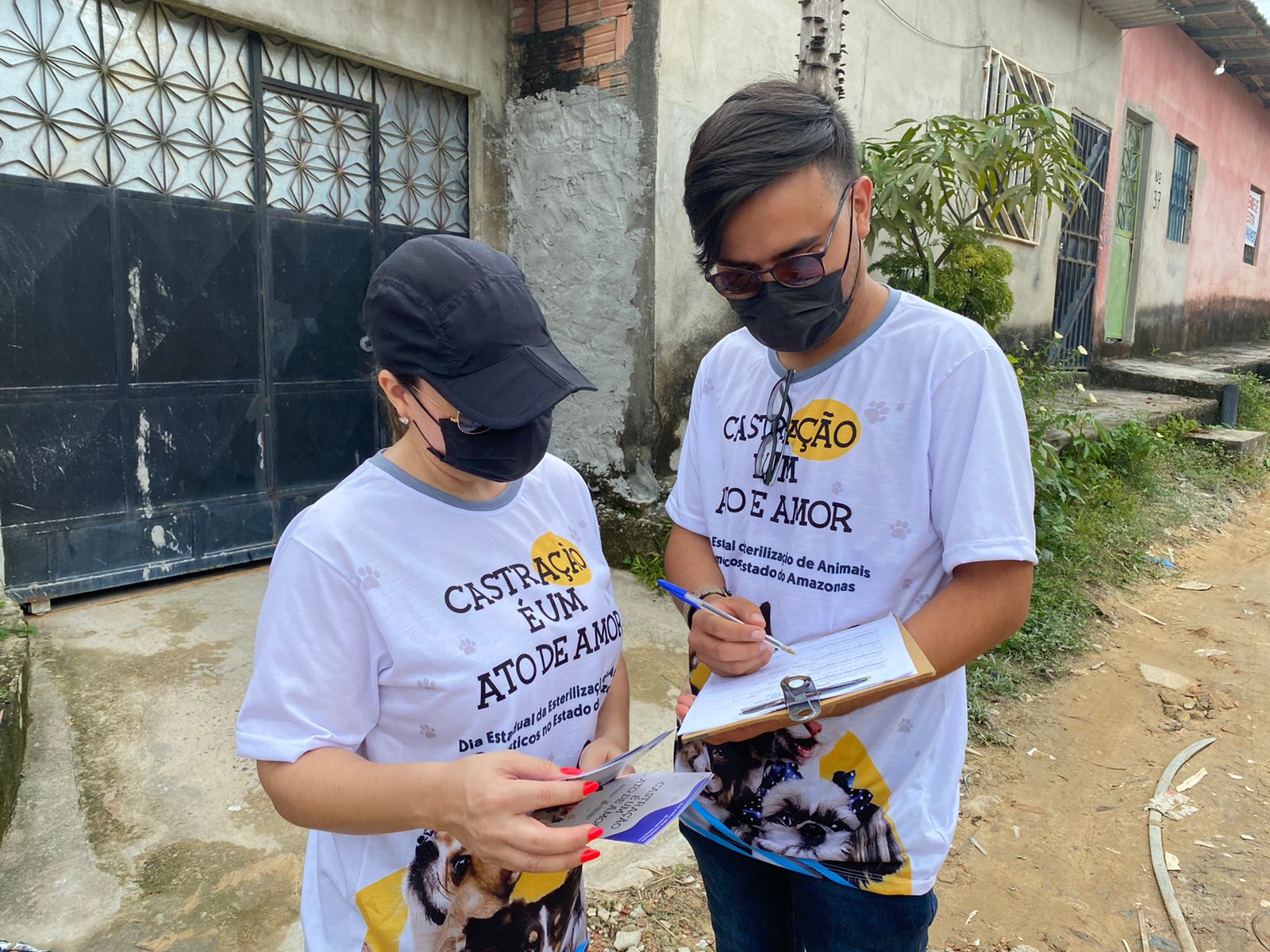 Confira a importância da castração de animais domésticos