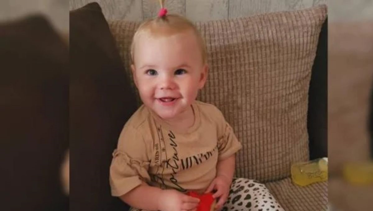 Criança de 1 ano morre após ser atacada por cachorro da família