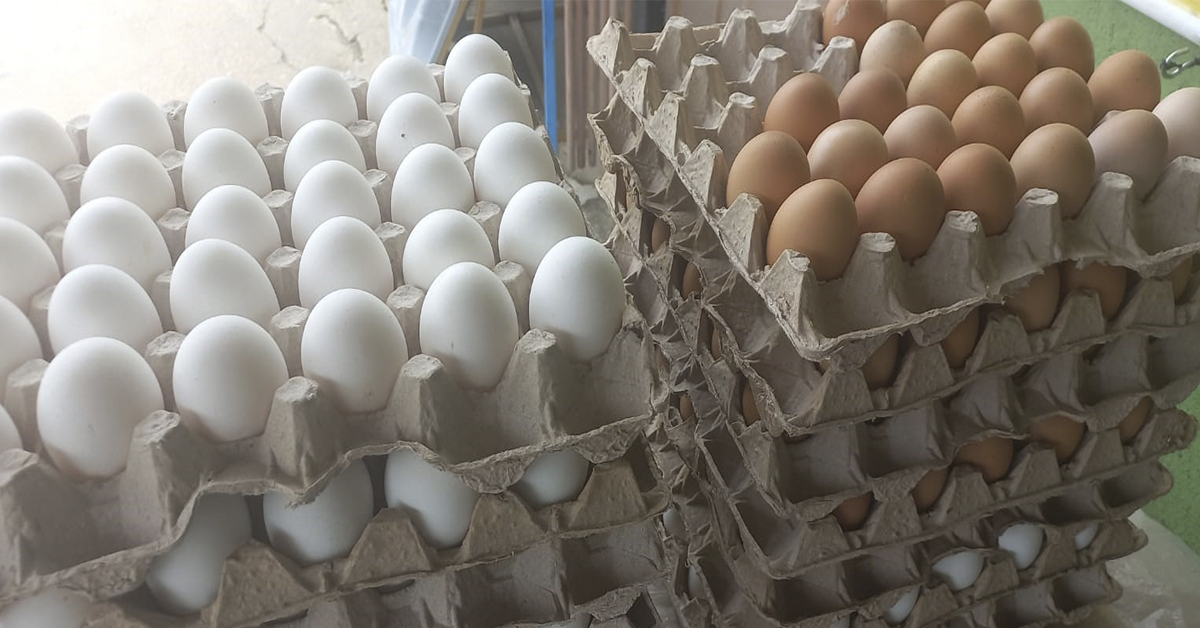 Manauara sente os impactos do aumento de preços dos ovos