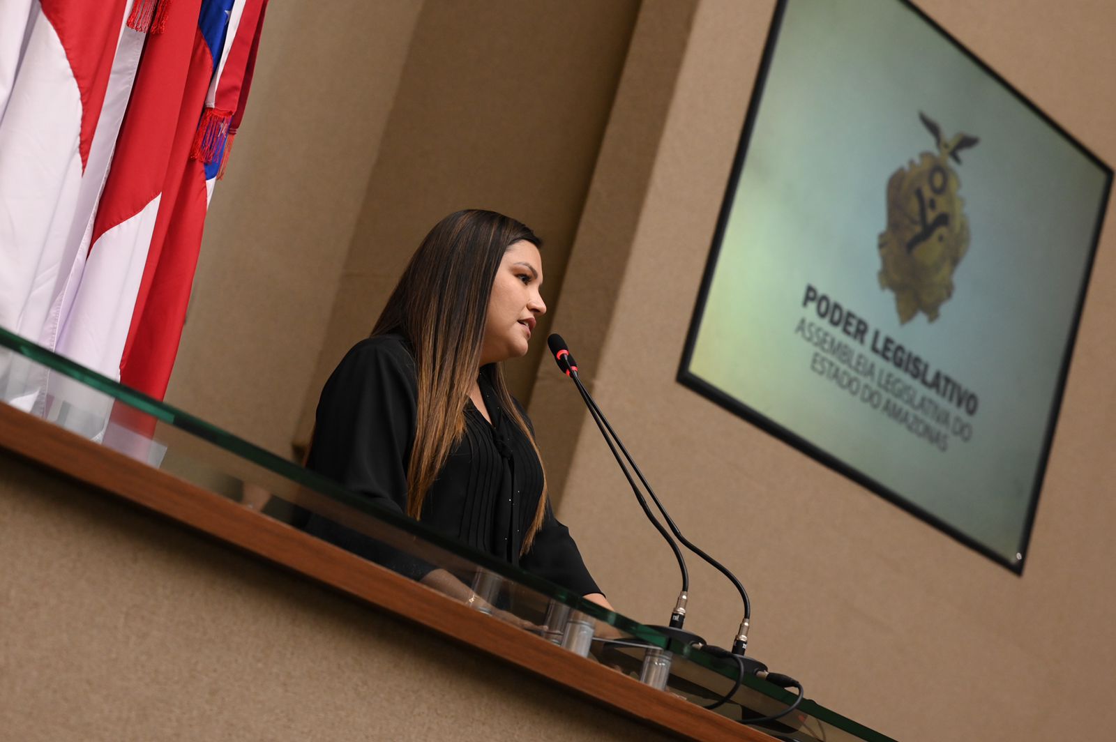 PL quer tornar Controle Reprodutivo de Animais  questão de saúde pública no AM