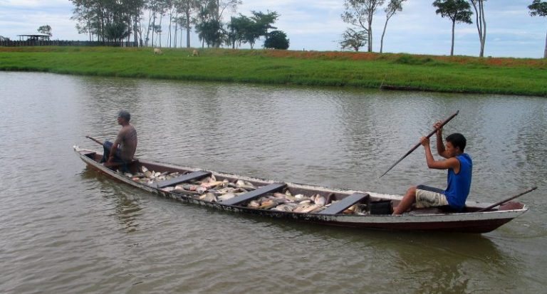 Defeso pescado Amazonas