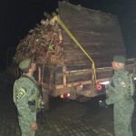 Lenha irregular apreendida