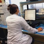 Pesquisa sobre plantas populares