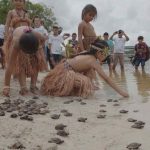 soltura de 226 quelônios às margens do rio Cuieiras.