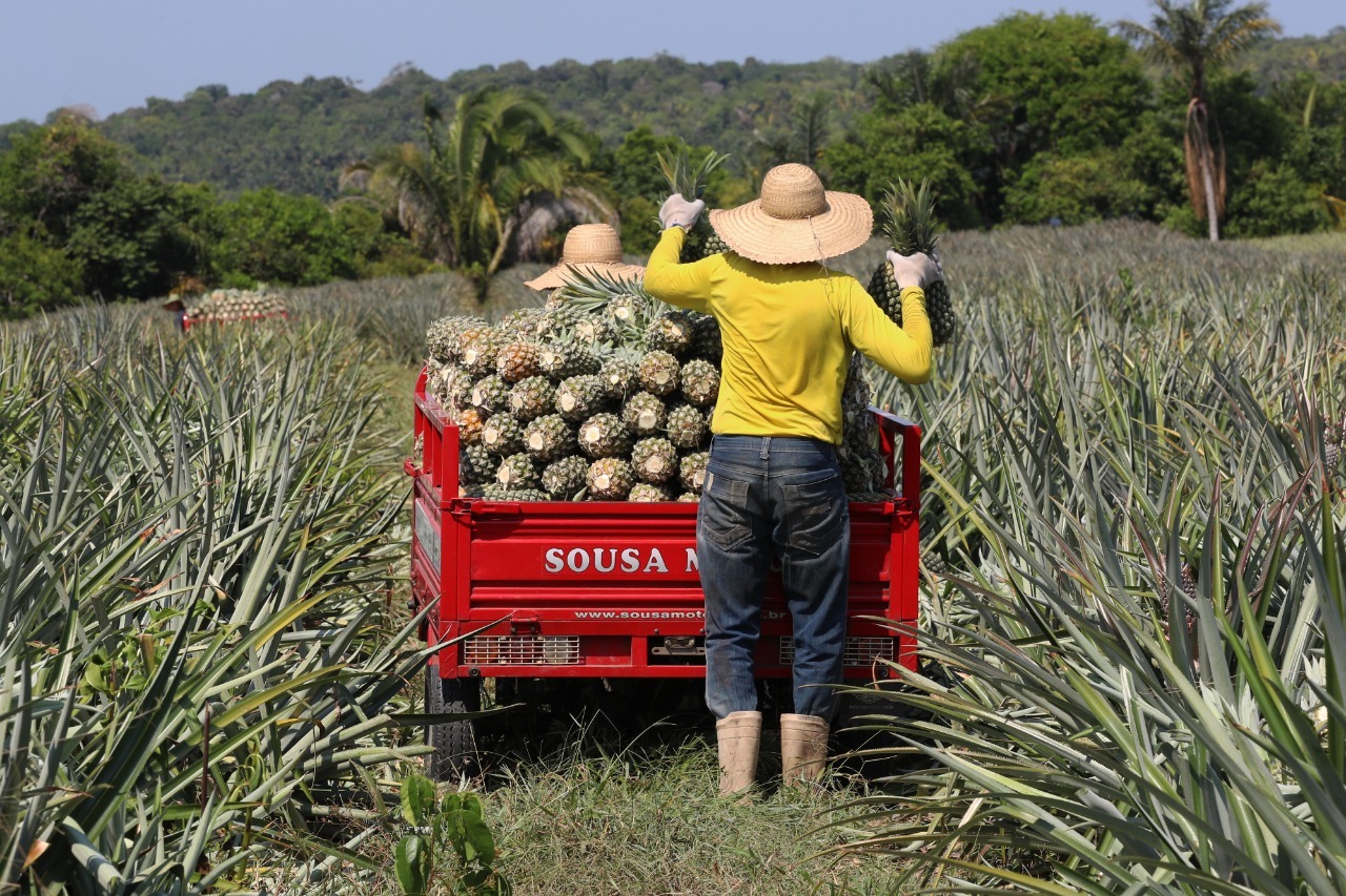 Amazonas aplicou R$ 53,9 milhões em crédito para produtores rurais do estado