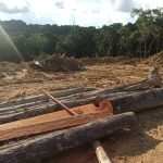 Doação onerosa de lenha