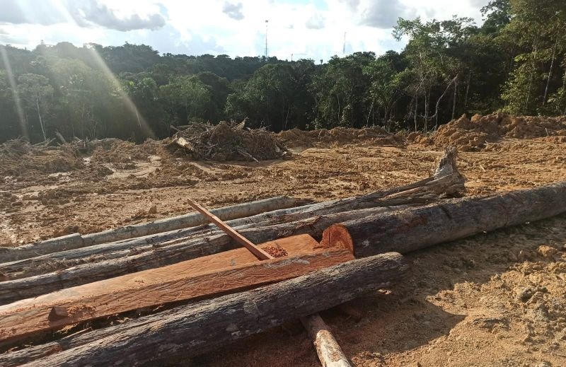 Doação onerosa de lenha