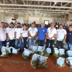 Programa Alimenta Brasil