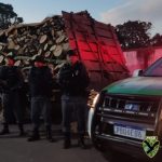 Madeira ilegal apreendida