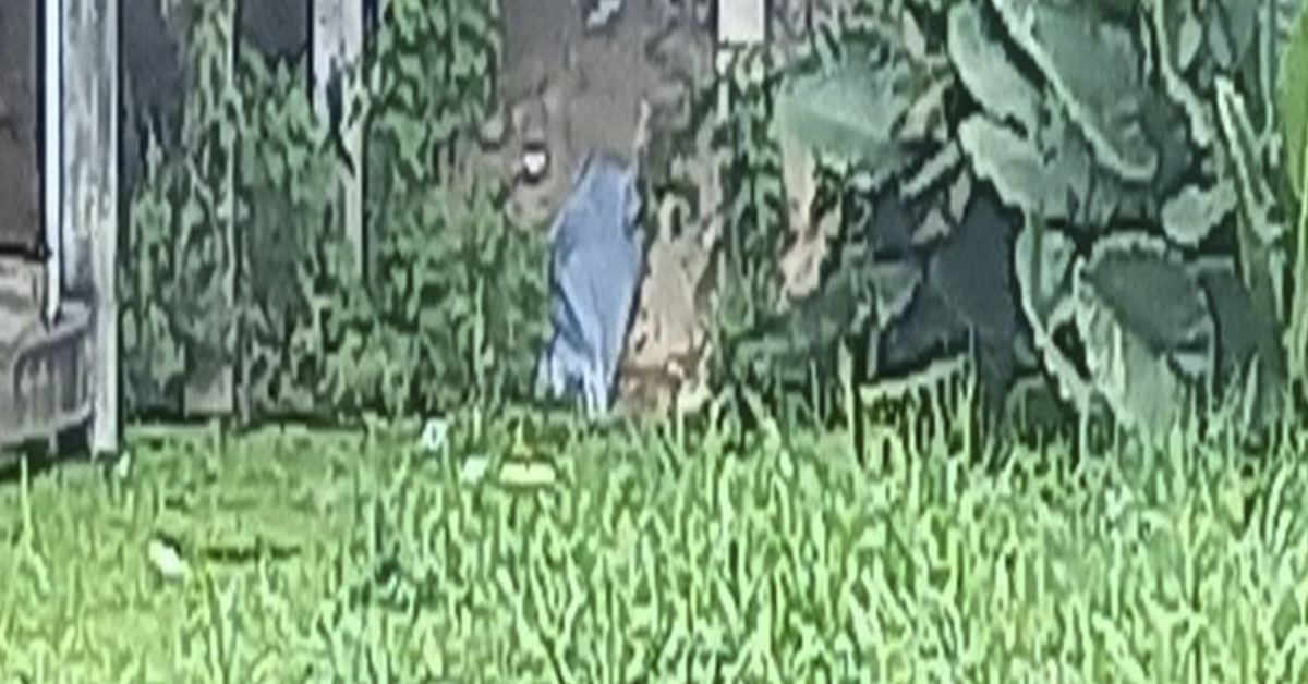 Corpo com corda no pescoço é encontrado em igarapé de Manaus