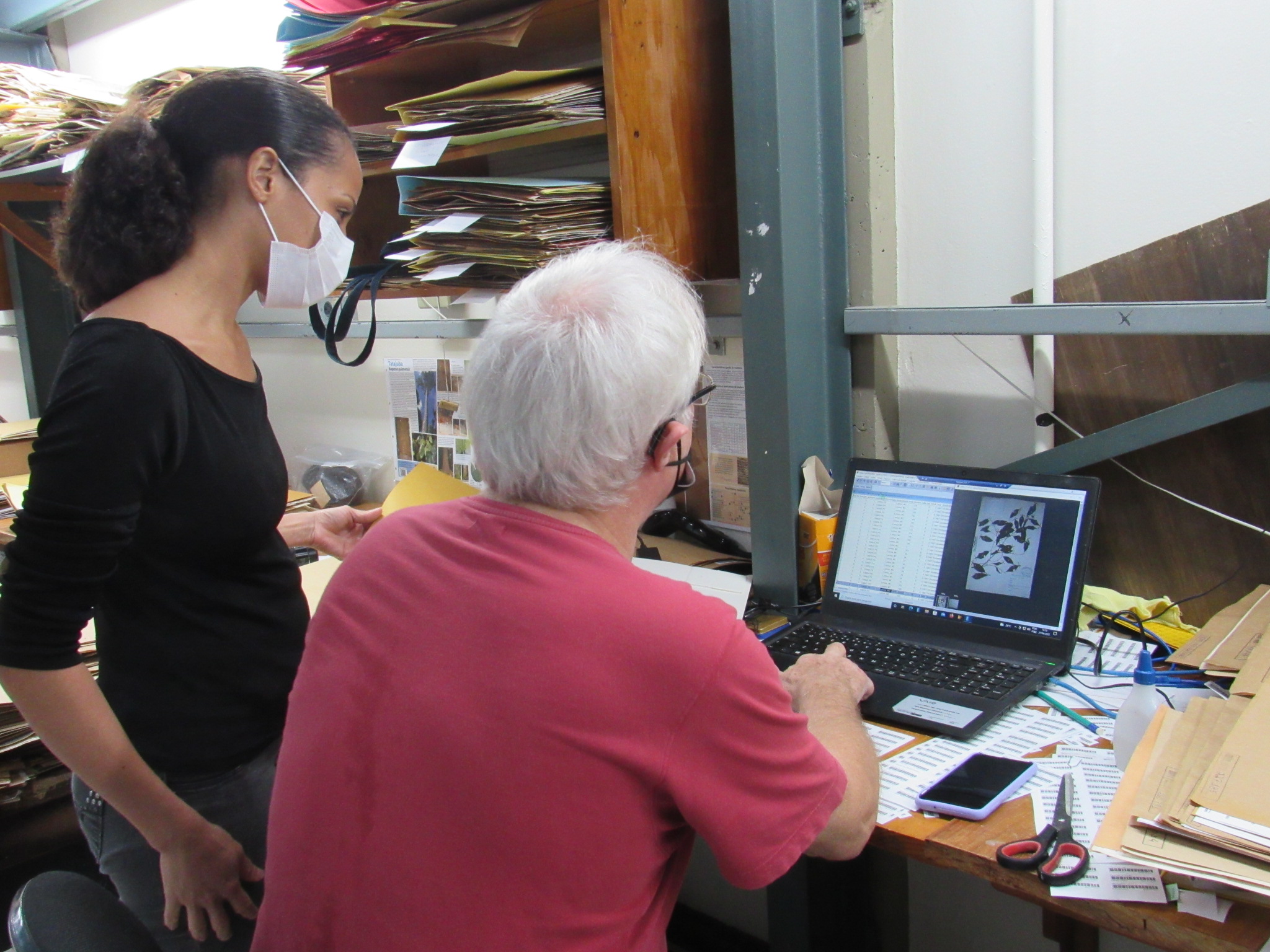 Projeto que atualiza dados do Herbário do Inpa recebe apoio do Governo