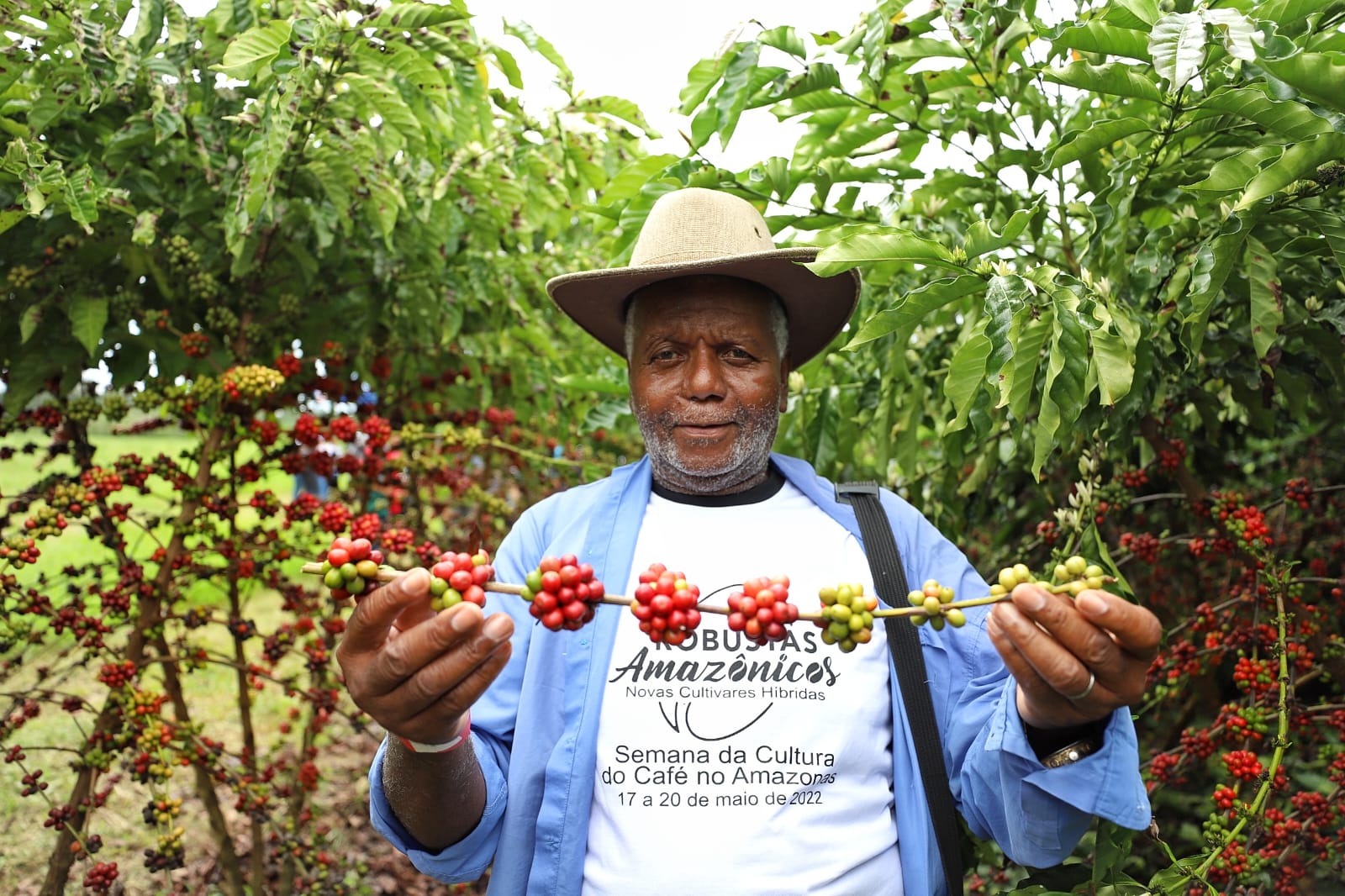 Produção de café ganha investimento em novas tecnologias no Amazonas