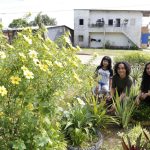 Educação ambiental