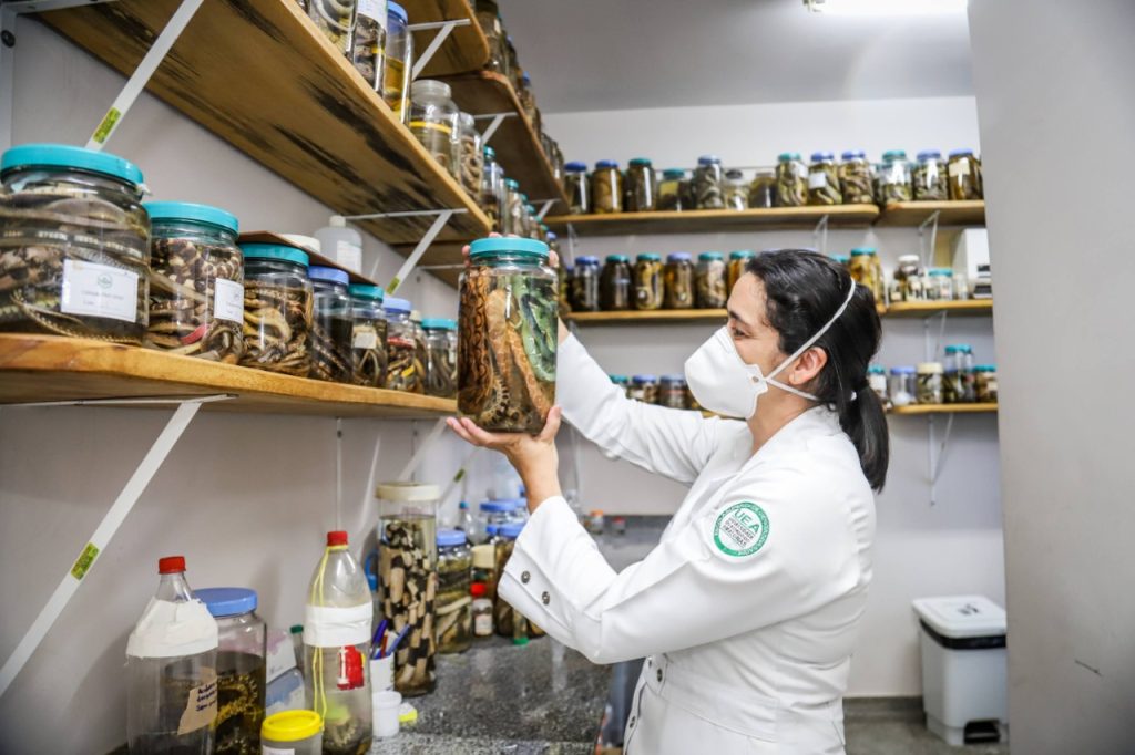 pesquisadora Jacqueline Sachett