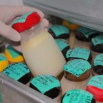 Doação de leite materno