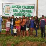 orientação sobre cultivo de mudas