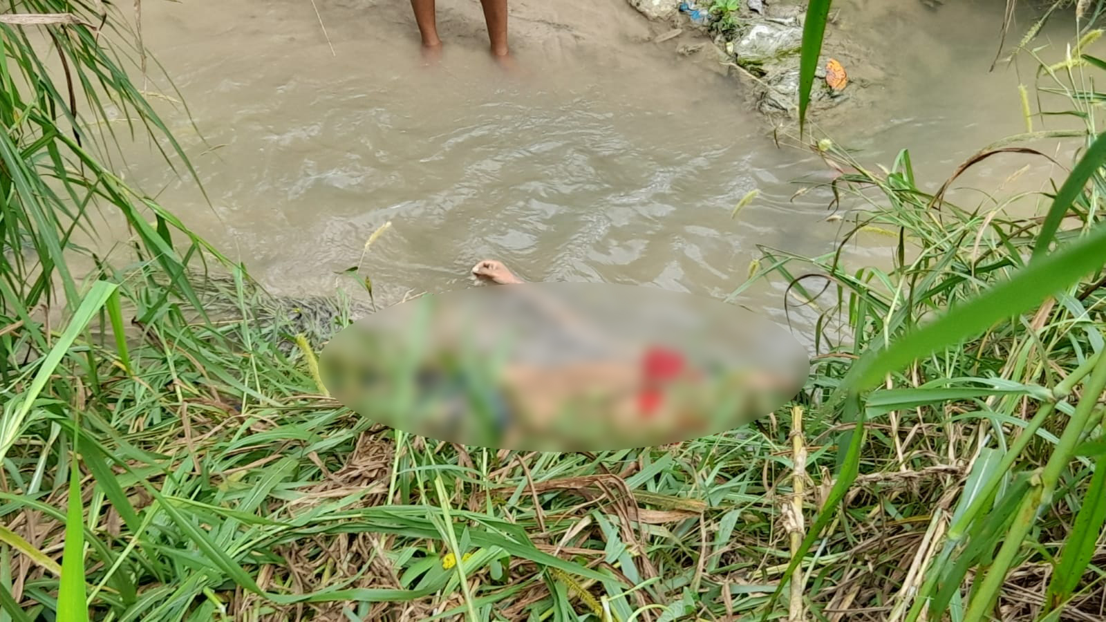 Jovem é morto com 3 tiros e achado em igarapé em Manaus