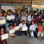 Curso de práticas de manejo do açaí