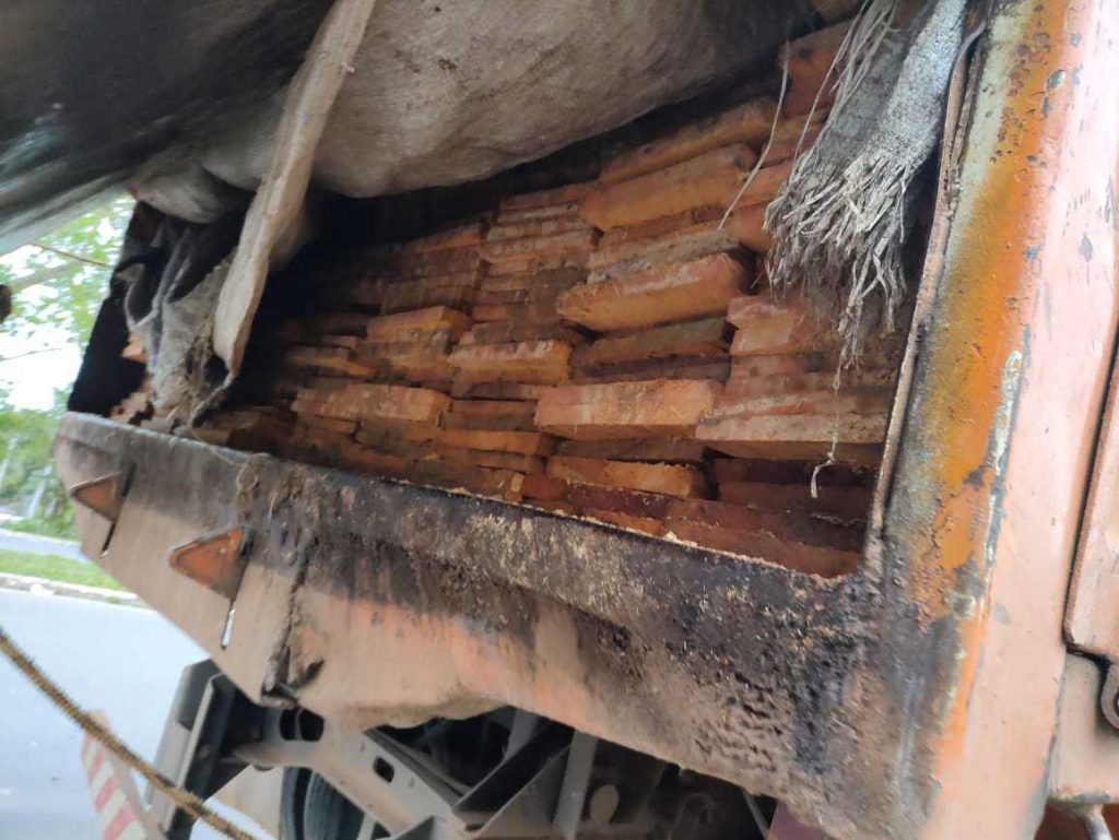 madeira ilegal apreendida