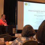 curso de erradicação da malária