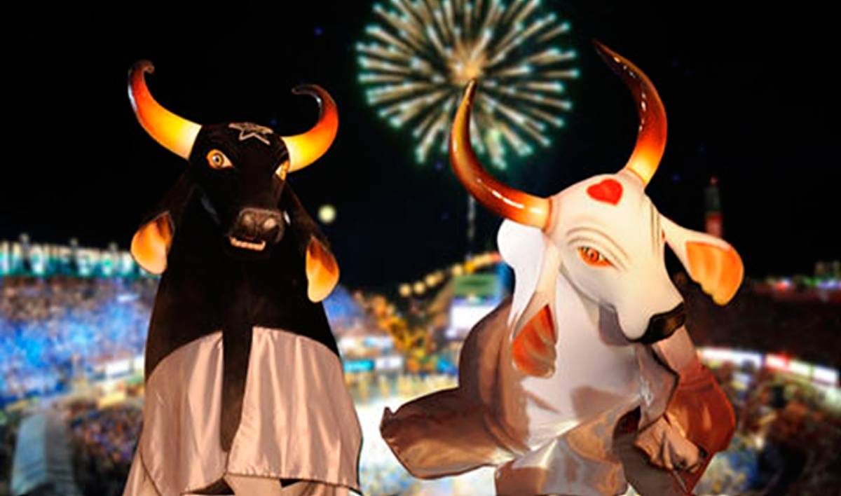 Após pandemia, Parintins revive Festival Folclórico