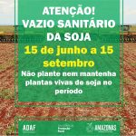 Vazio sanitário da soja