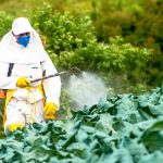 Alerta sobre proibição de agrotóxicos