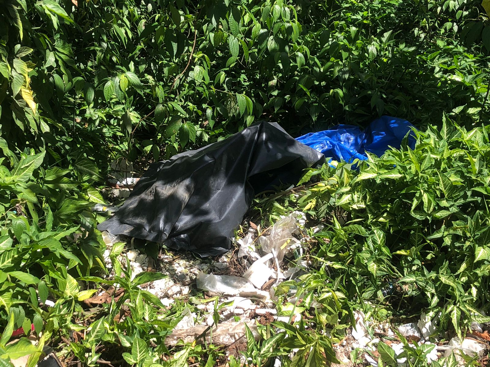 Com facadas no peito e costas, corpo é encontrado em avenida de Manaus