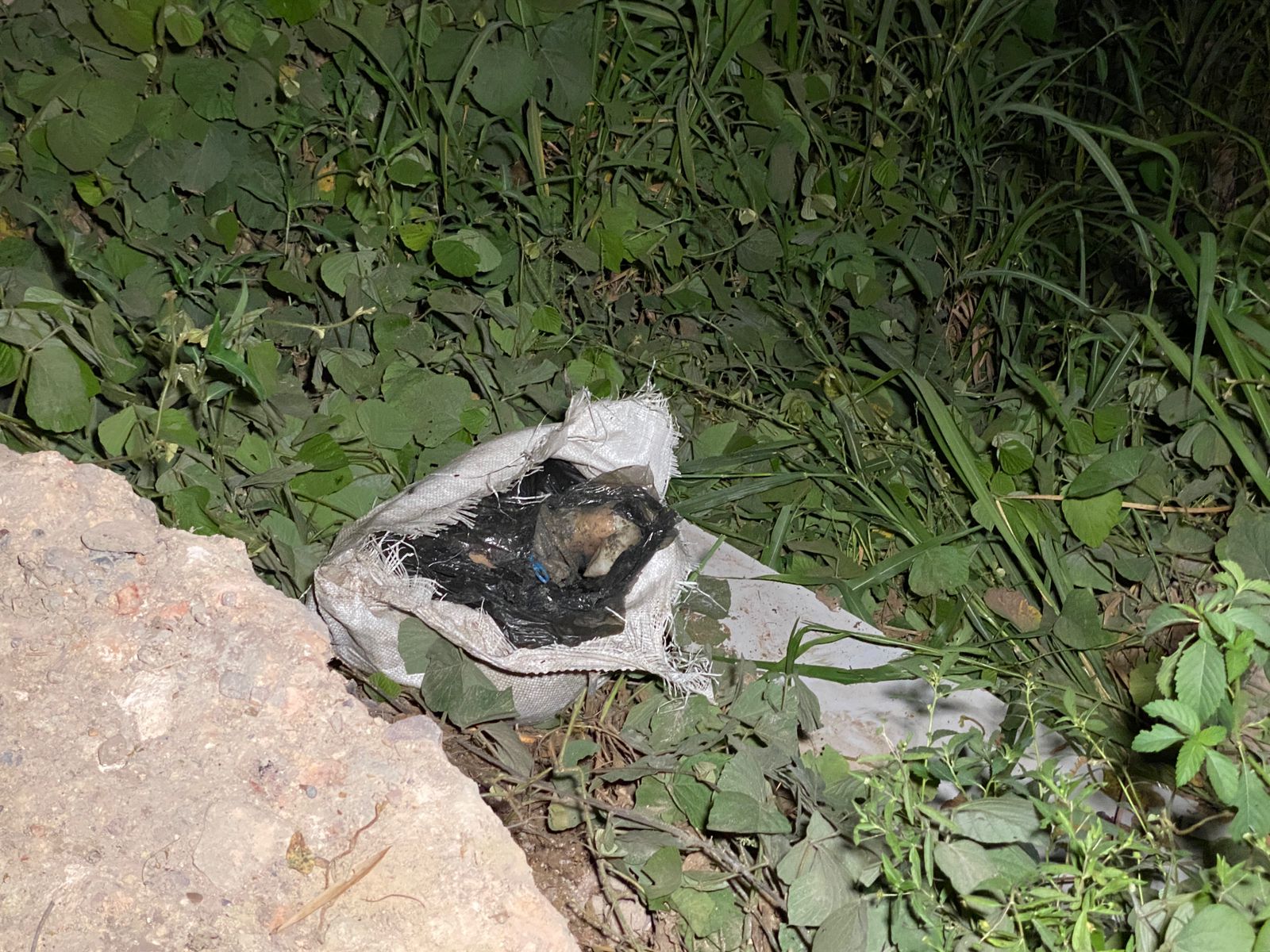 Corpo esquartejado é encontrado em sacos plásticos na AM-010