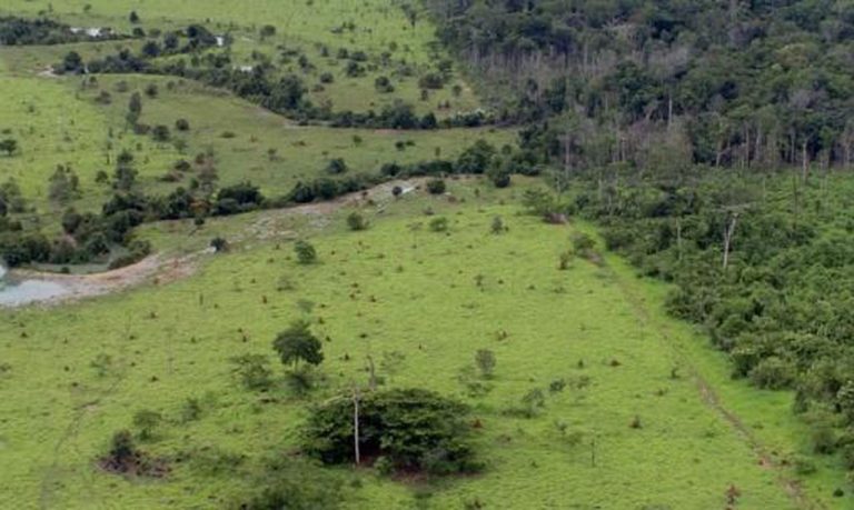 Projeto rural na Amazônia