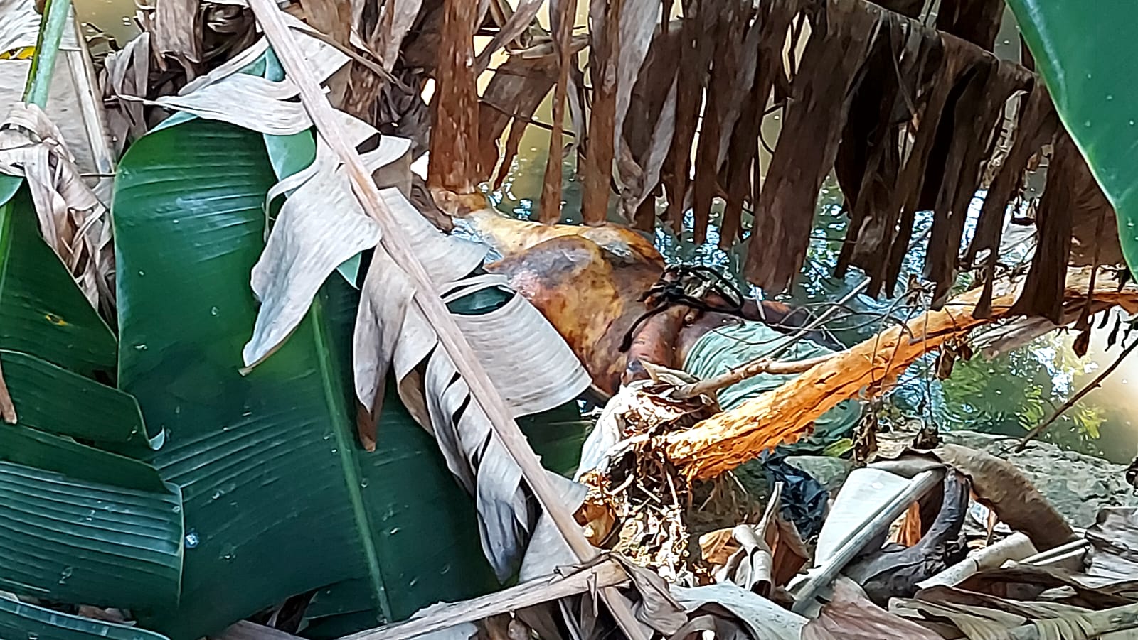 Corpo com mãos e pés amarrados é encontrado em igarapé, no Centro de Manaus