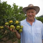 produção de limão