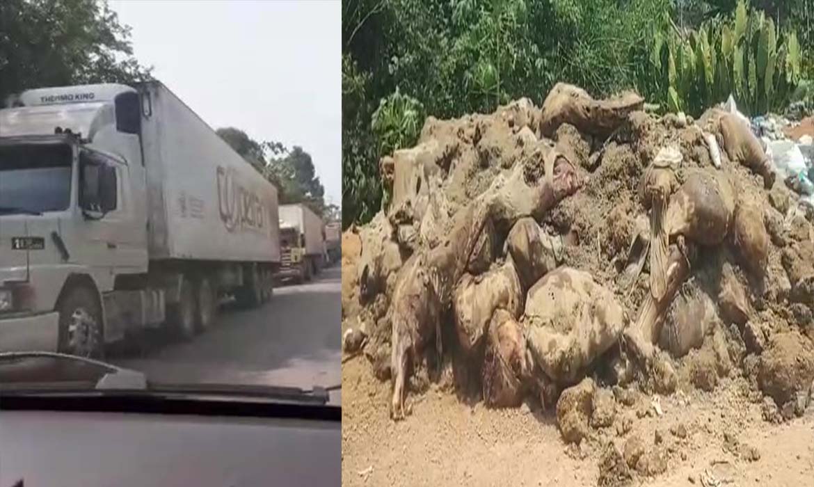 Vídeo: sem ponte, caminhoneiros alertam para perda de alimentos no Amazonas