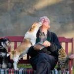 envelhecimento saudável