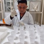 INPA estuda ação de bacterias amazonicas contra dengue e malária