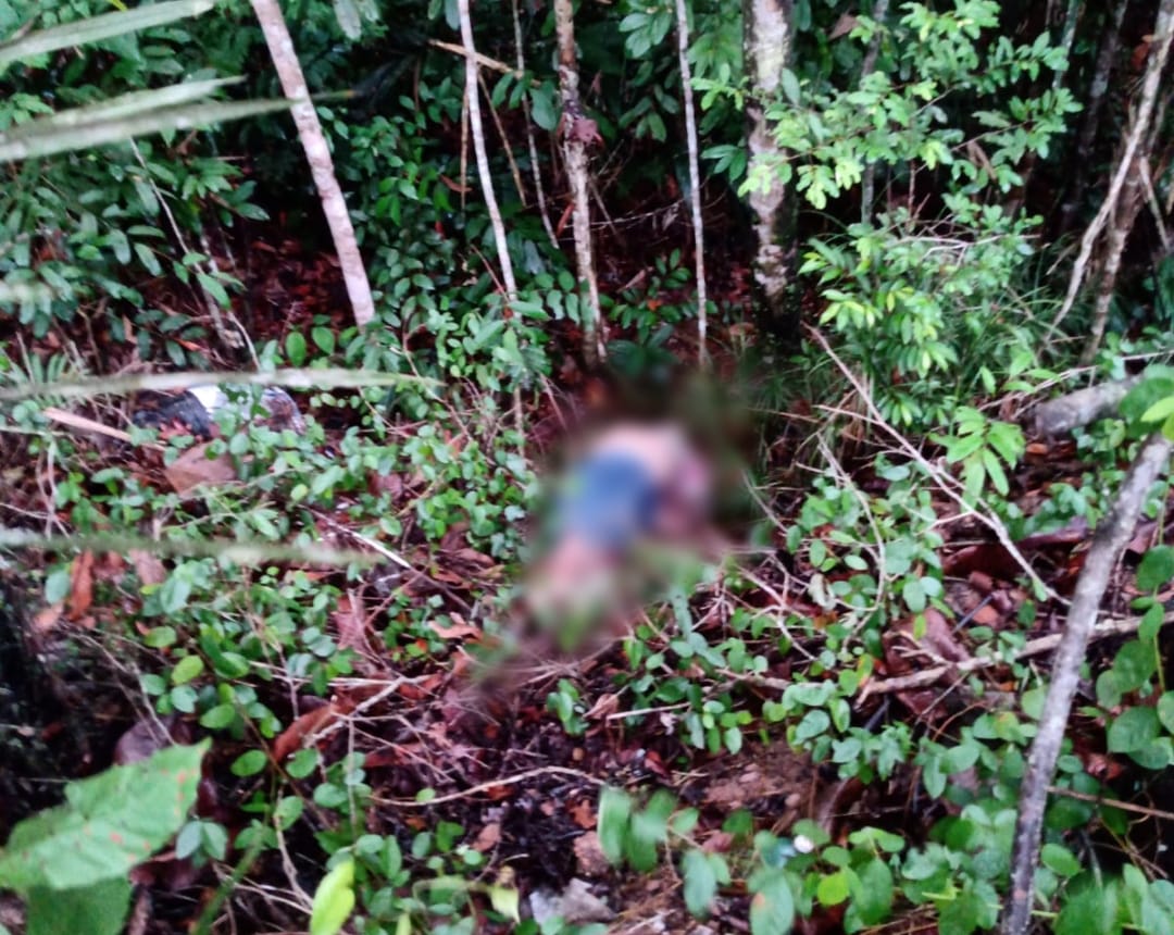 Corpo de homem é encontrado em área de mata no Tarumã