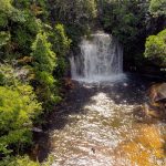 Presidente Figueiredo