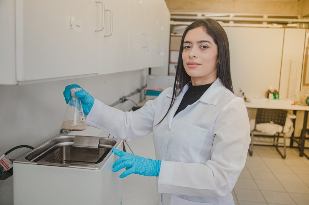 Pesquisa sobre mandioca açucarada