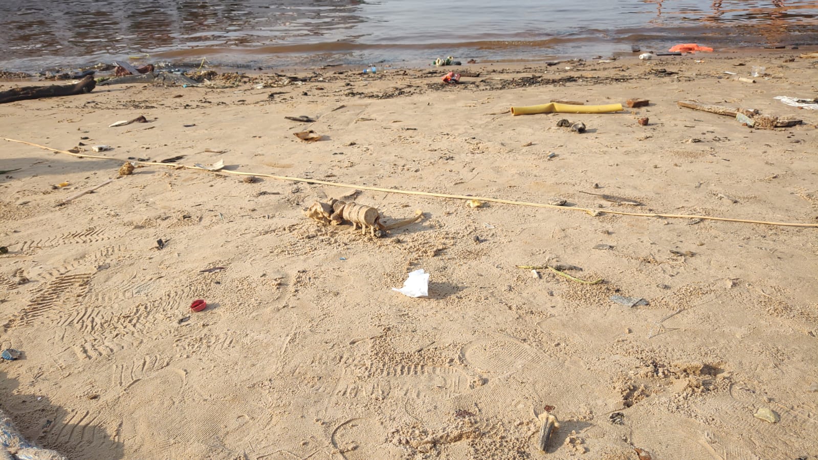 Ossada humana é encontrada nas margens da Manaus Moderna