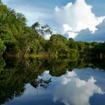 O Fundo Amazônia ajuda na preservação da região