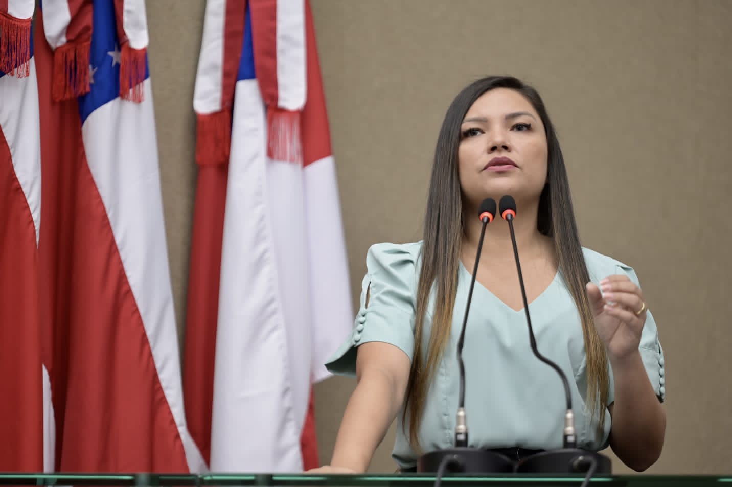 PL de Joana Darc, propõe considerar deficiência a perda auditiva unilateral