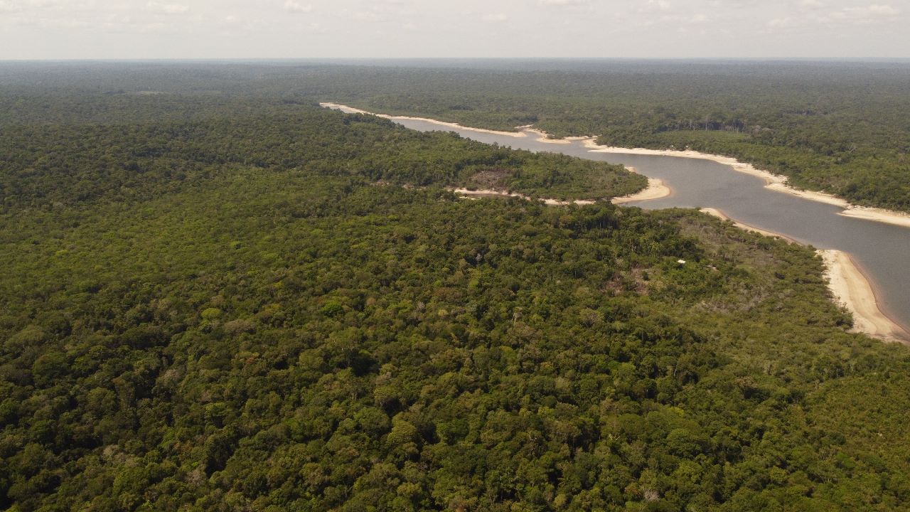 Campanha “Um gol para Amazônia” convoca time de doadores para recuperar o equivalente a 7 campos de futebol na região