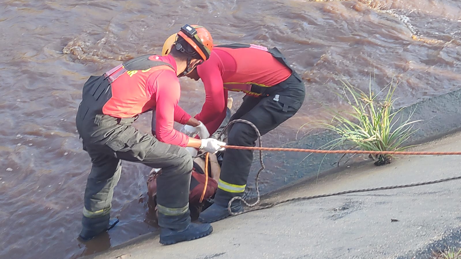Homem é morto com facadas na cabeça e jogado em igarapé de Manaus
