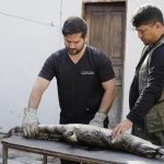 Tiago Corrêa - UGPE