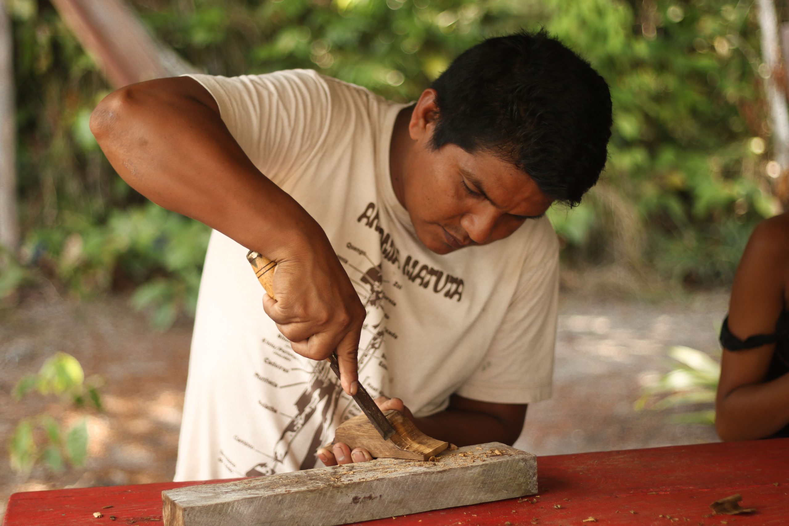Desafios do comércio de bioartesanato no Amazonas