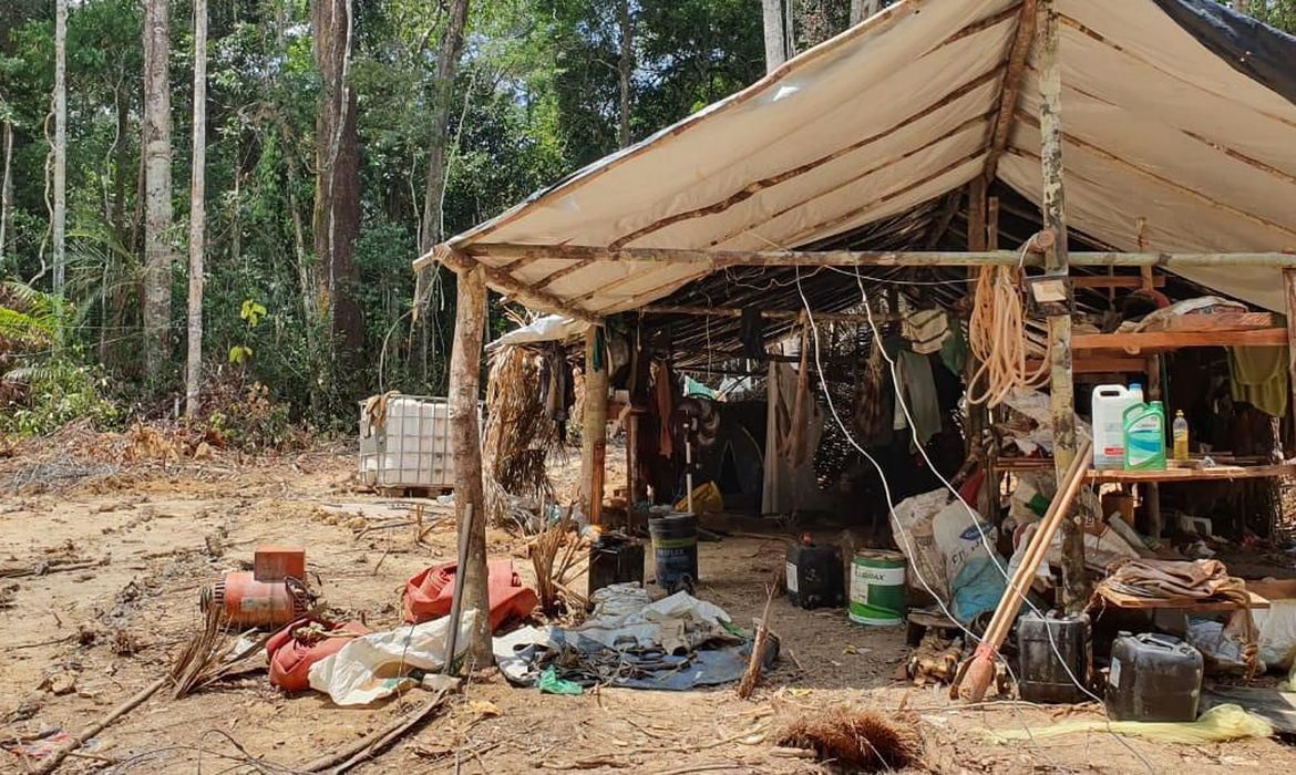 Desmatamento tem alta de 309% por culpa de garimpo ilegal, em Terra Yanomami