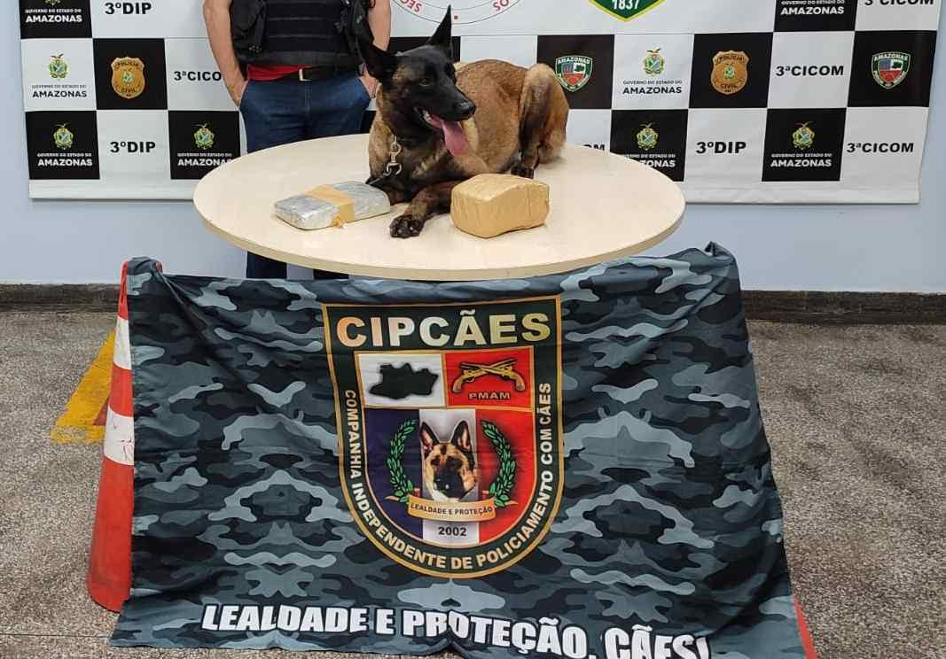 Mulher é presa no Porto de Manaus ao tentar embarcar com drogas para Santarém