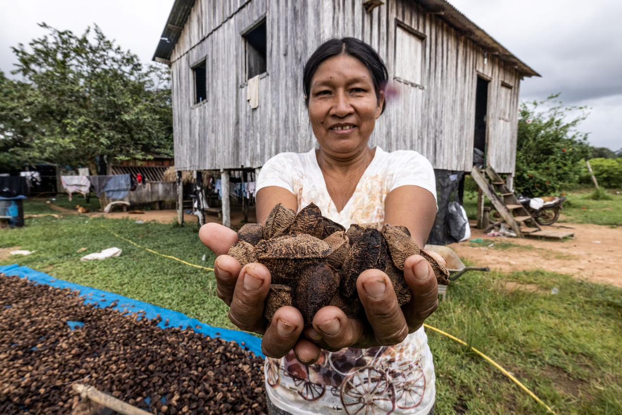Mulheres se tornam protagonistas do extrativismo na Amazônia