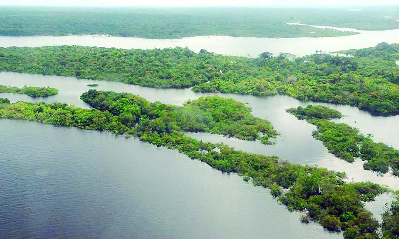 Manaus sedia 1º Fórum de Meio Ambiente e Sustentabilidade na Amazônia e 1º Fórum Carbono Neutro